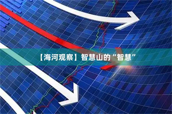 【海河观察】智慧山的“智慧”