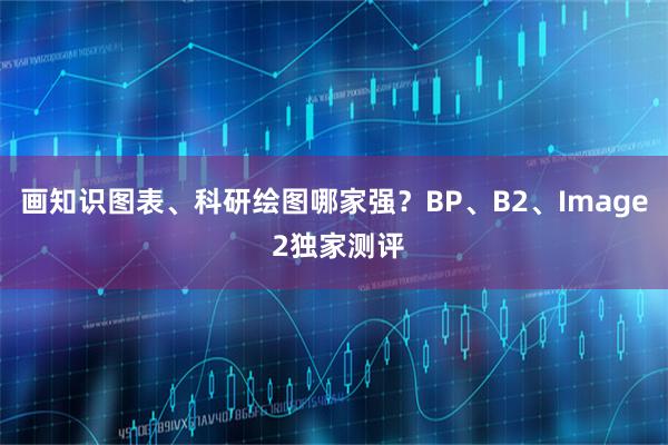 画知识图表、科研绘图哪家强？BP、B2、Image 2独家测评