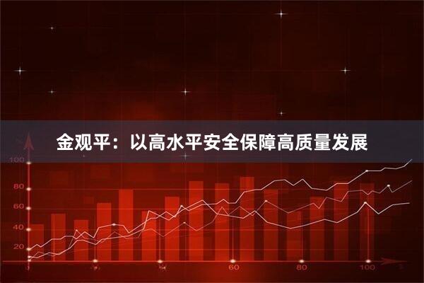 金观平：以高水平安全保障高质量发展